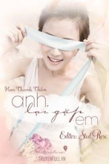 Anh Lại Gặp Em