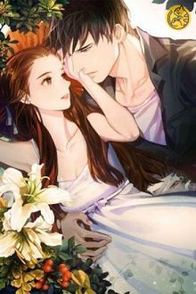 Anh Rể Xin Buông Tay FULL