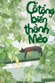Cố Tổng Biến Thành Mèo FULL