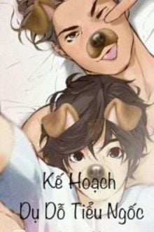 Kế hoạch dụ dỗ
